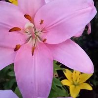 River Bank RV Park ico