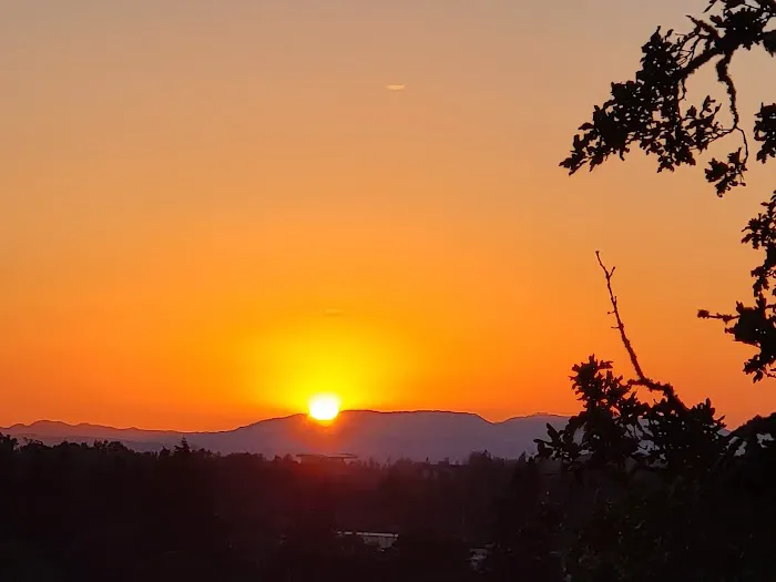 River Bank RV Park Picture 4