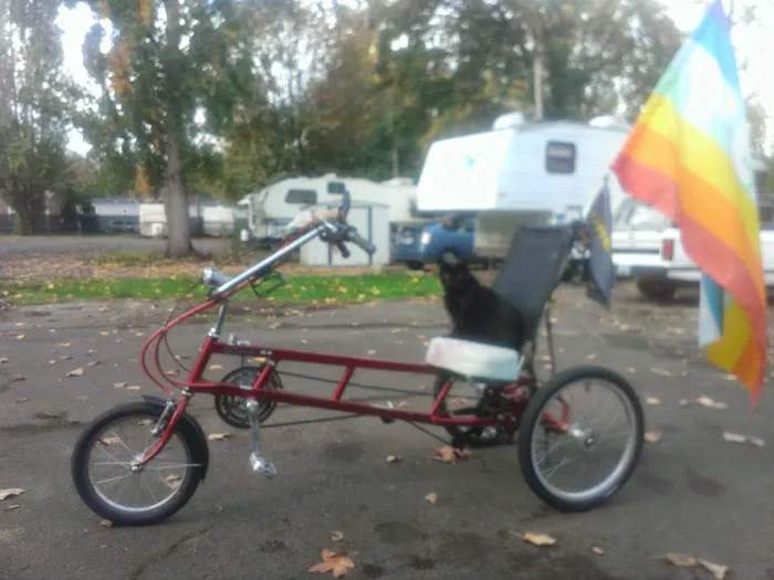 River Bank RV Park Picture 5