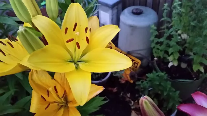 River Bank RV Park Picture 3