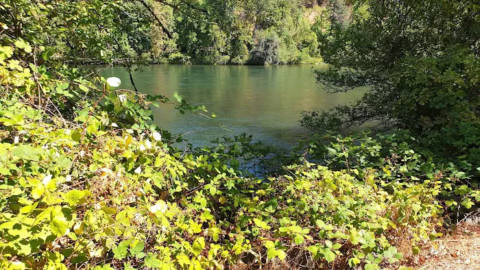 Shamrock Village RV Park Picture 5