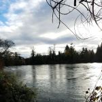 Shamrock Village RV Park