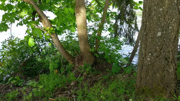 Shamrock Village RV Park Picture 4