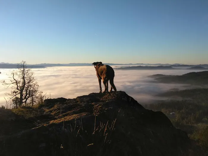 Shamrock Village RV Park Picture 3