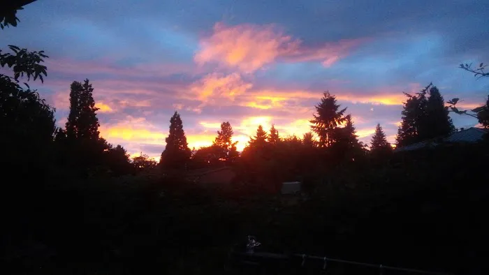 Twin Totem Picture 4