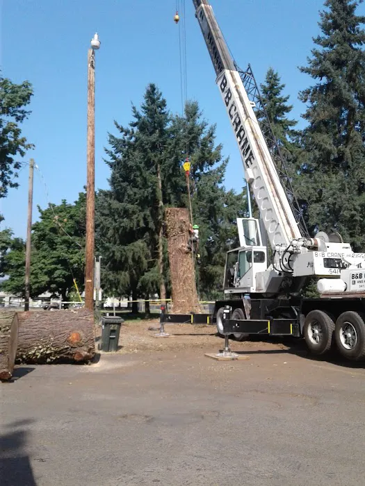 Twin Totem Picture 1