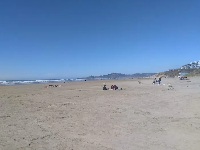 Twin Totem Picture 6