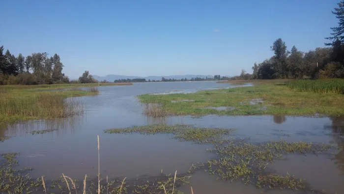 Twin Totem Picture 3