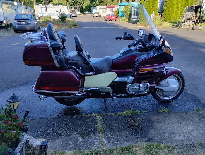 Twin Totem Picture 9