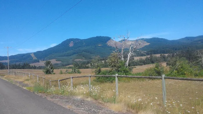 Twin Totem Picture 10