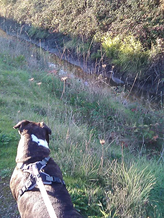 Mobile Towne West Picture 2