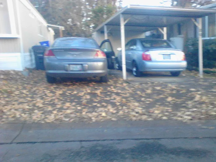 Royal Oaks Mobile Park Picture 1