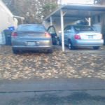 Royal Oaks Mobile Park