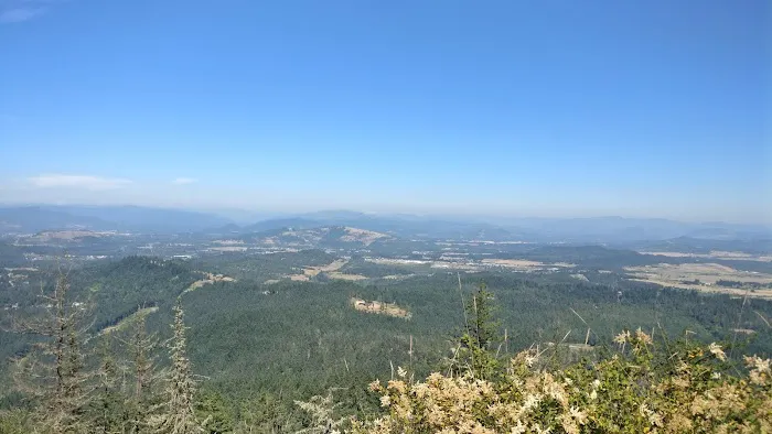 Royal Oaks Mobile Park Picture 4