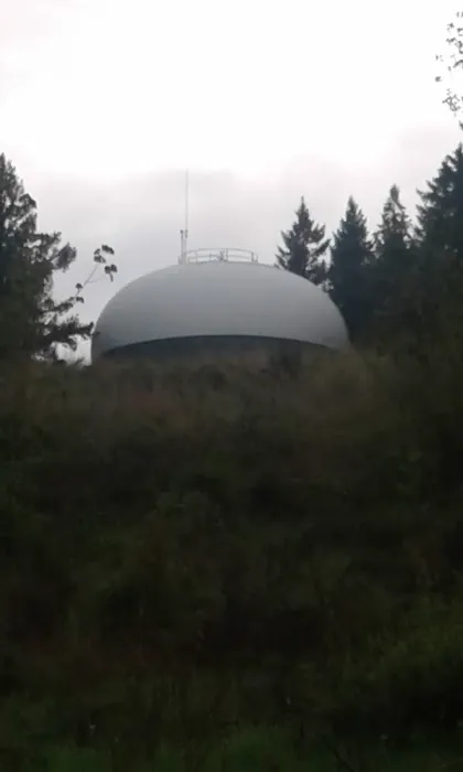 Royal Oaks Mobile Park Picture 3