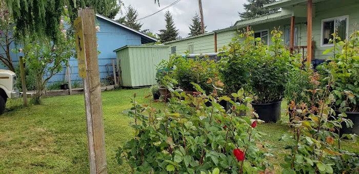 Eugene Mobile Village Picture 3