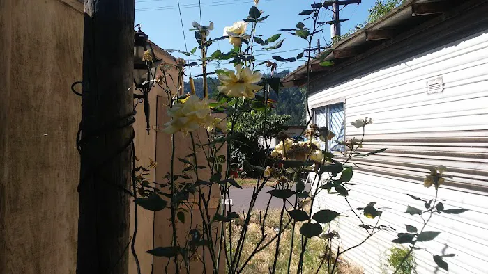 Springfield Mobile Home & RV Park Picture 2