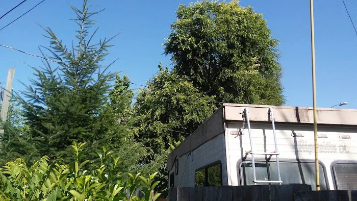 Springfield Mobile Home & RV Park Picture 9