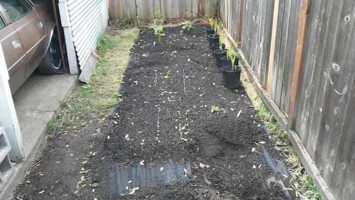 Springfield Mobile Home & RV Park Picture 4