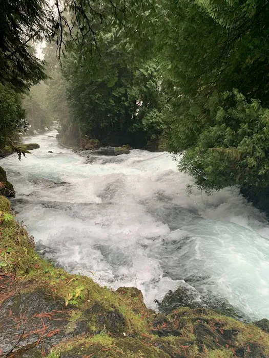 Rainbow Park | RV Park Picture 5