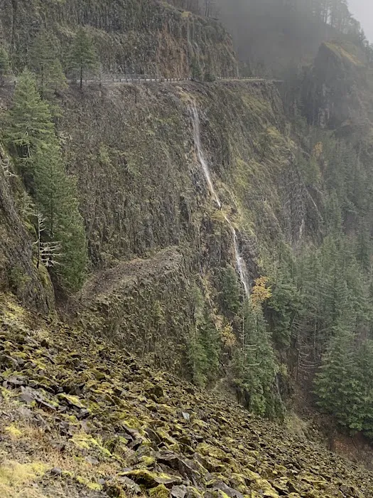 Rainbow Park | RV Park Picture 3