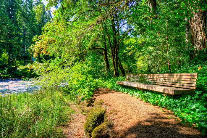 Goodens Trailer Court Picture 4