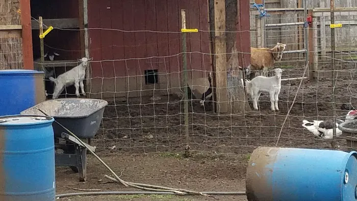 Goodens Trailer Court Picture 10