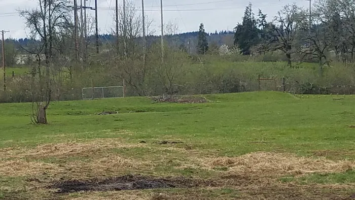 Goodens Trailer Court Picture 11