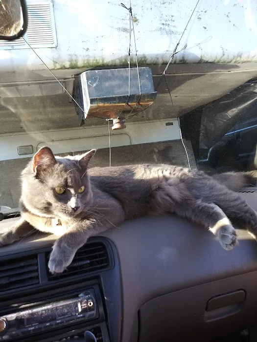 Riverside Trailer Court Picture 1