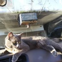 Riverside Trailer Court ico