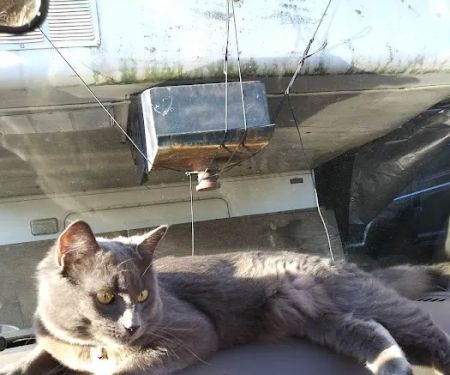 Riverside Trailer Court