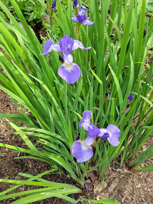 Deerwood RV Park Picture 5