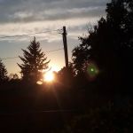 Riverwood Mobile Home Park