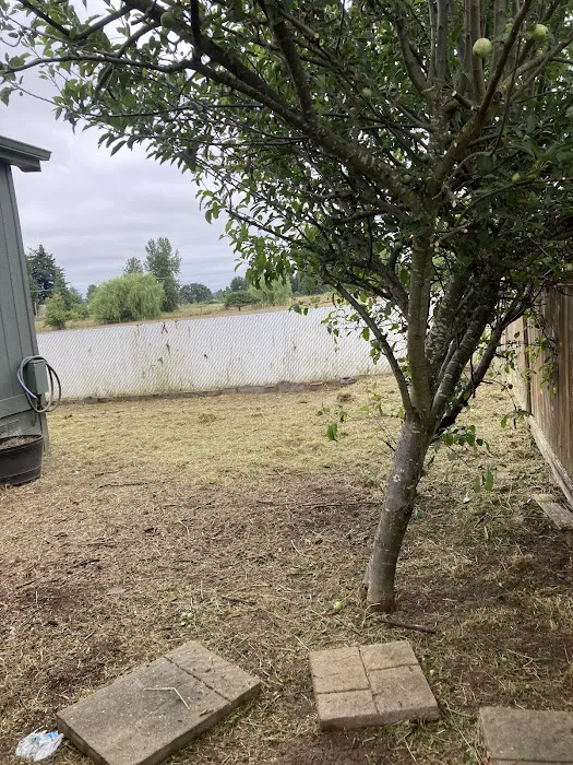 Creswell Court Residential Community Picture 9