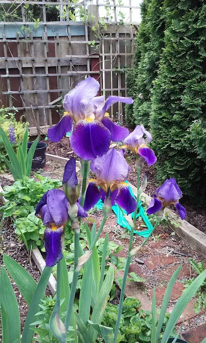 Aero Community LLC Picture 6