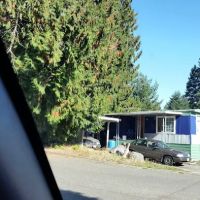 Cedar Mobile Manor Park ico