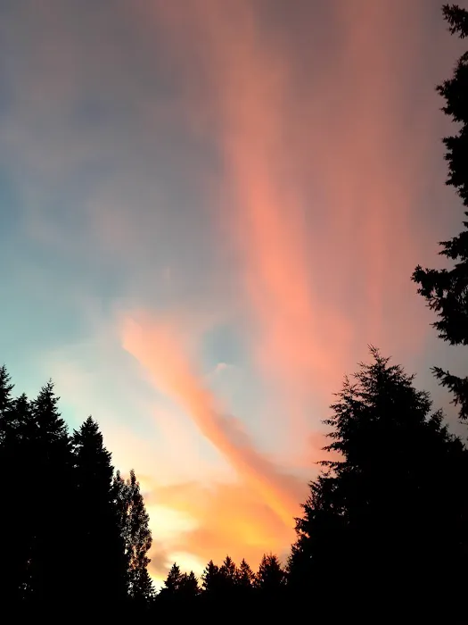 Cedar Mobile Manor Park Picture 4