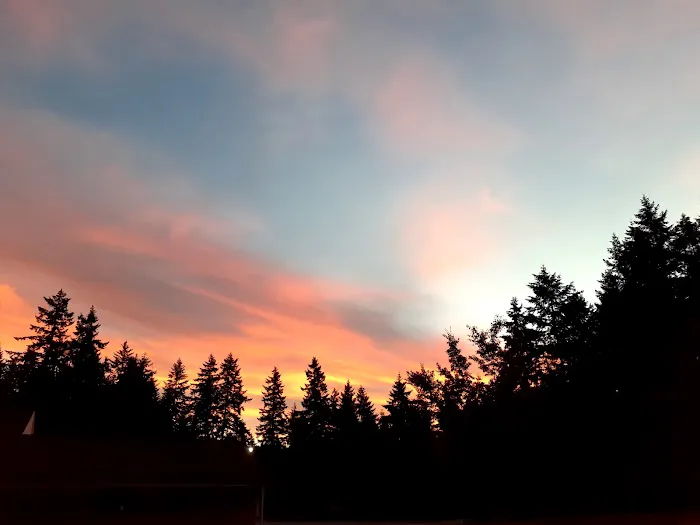 Cedar Mobile Manor Park Picture 6