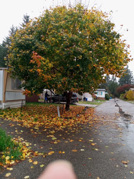 Cedar Mobile Manor Park Picture 9