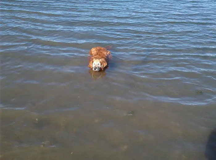 Cedar Mobile Manor Park Picture 3