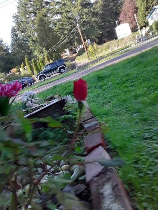 Olympic View Community LLC Picture 7