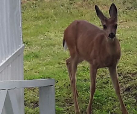 Olympic View Community LLC