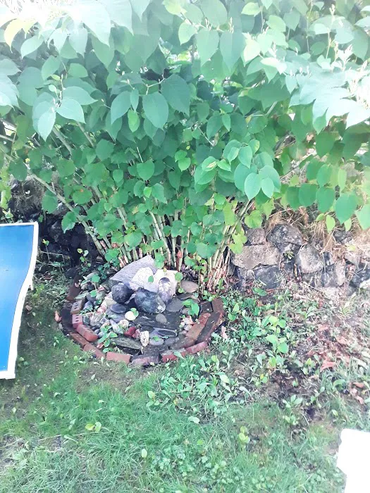 Olympic View Community LLC Picture 8