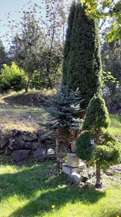 Olympic View Community LLC Picture 9