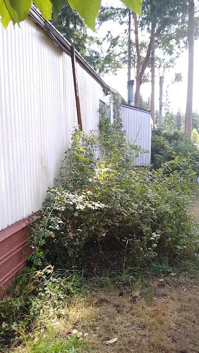 Olympic View Community LLC Picture 4