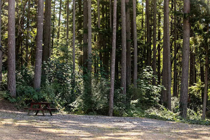 Sun Outdoors Gig Harbor Picture 2