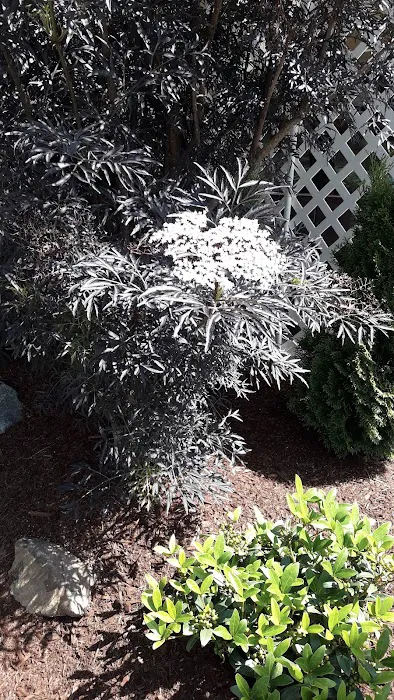 Hillcrest Mobile Home Park Picture 2