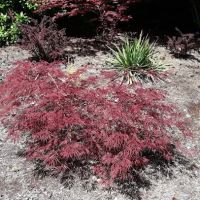 Hillcrest Mobile Home Park ico