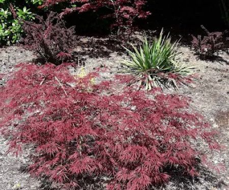 Hillcrest Mobile Home Park