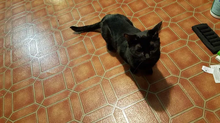 Kitsap West Mobile Park Picture 1